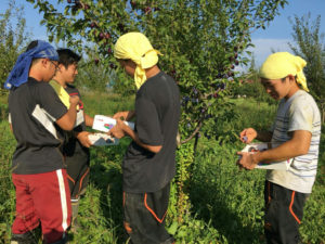 今週の潮陵高校ラグビー部