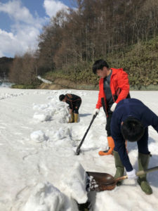 からまつ公園グラウンドの雪割り（小樽潮陵高校ラグビー部）